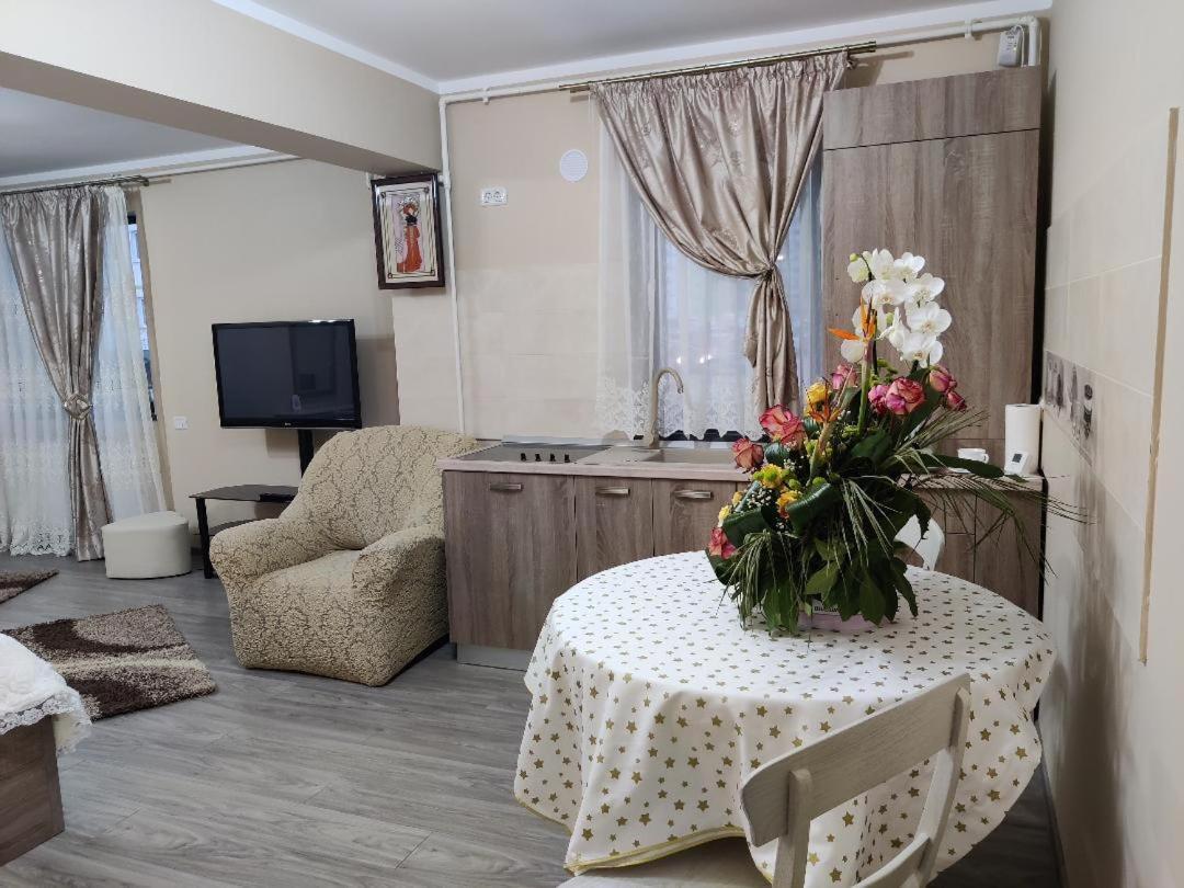 Corressy Studio Брашов Екстер'єр фото